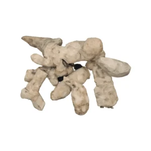 Smilax Glabra (Chobchini) Root